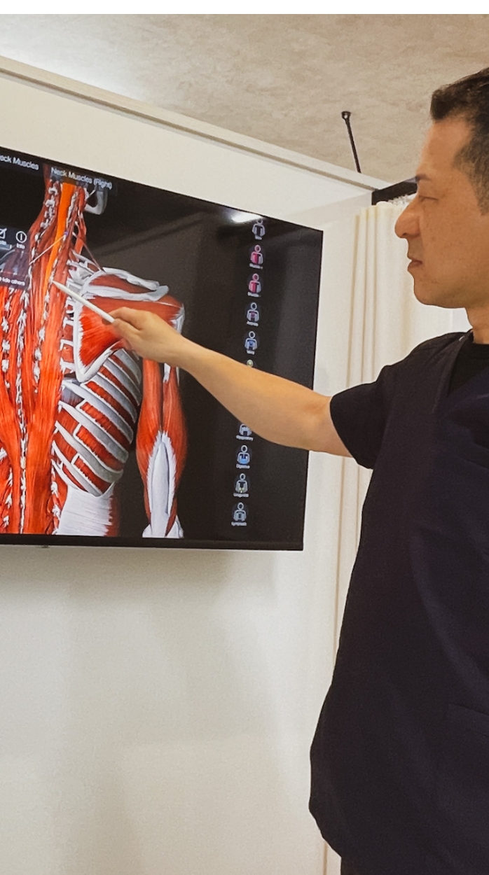 あおやま接骨院 当院について